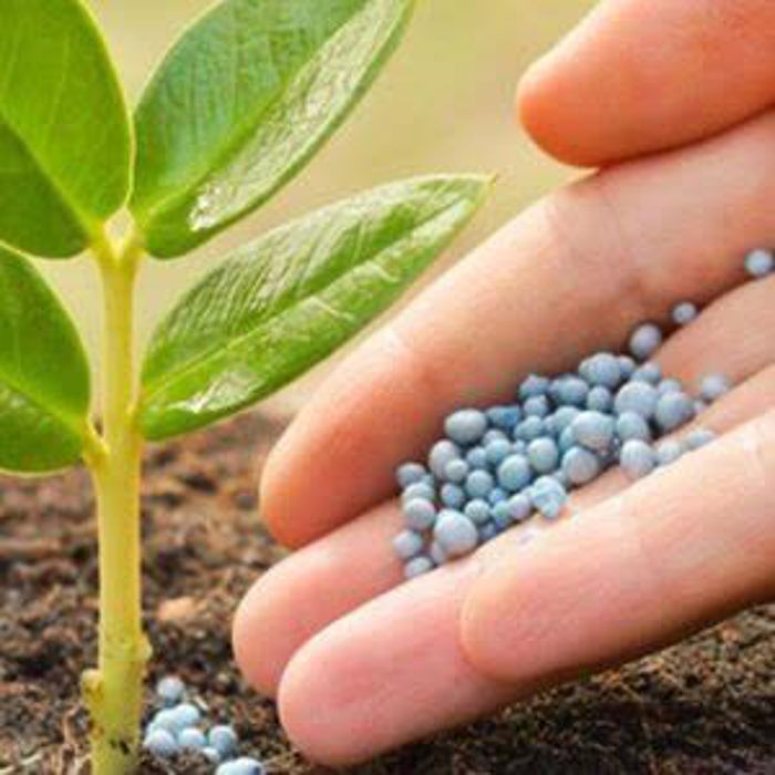 تأمین امنیت غذایی پایدار در همدان با توزیع جهادی نهاده‌های کشاورزی