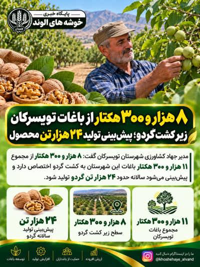 اینفوگرافی|