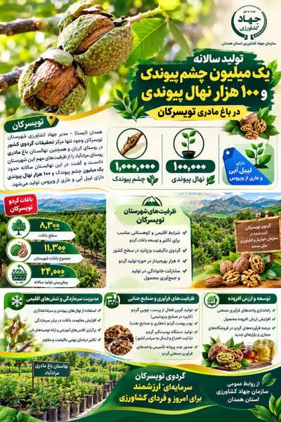 اینفوگرافی|