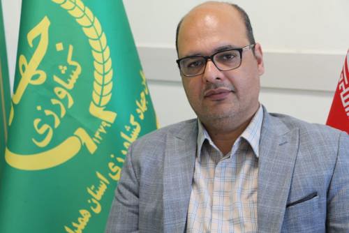 مجید حسنی جلالیه